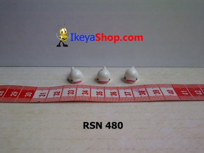 rsn 480  large2